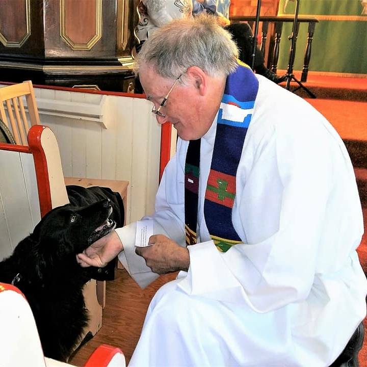 Priest blessing dog